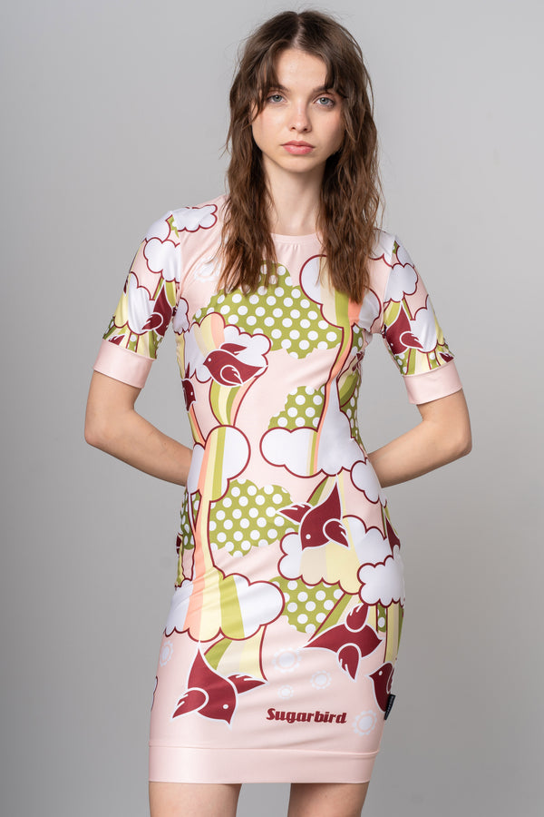 Ronani Babybird Pink Dress